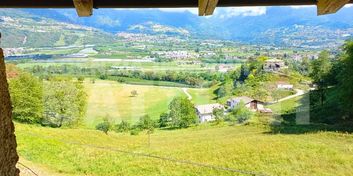 PORZIONE DI MASO CON TERRENO