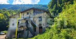 PORZIONE DI MASO CON TERRENO