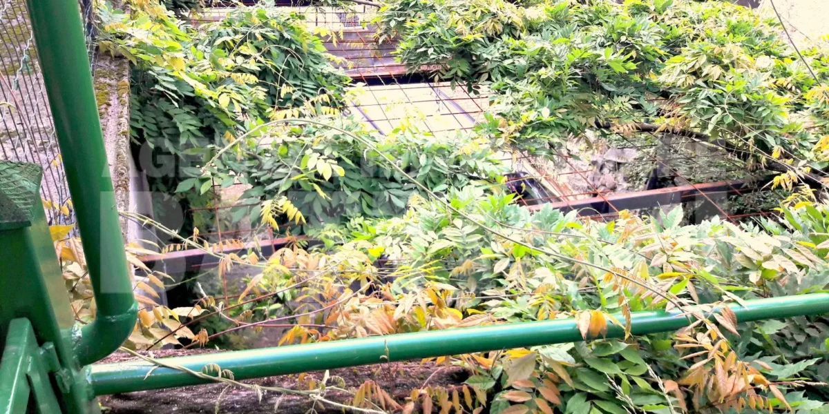 PORZIONE DI CASA CON ORTO E CORTILE PRIVATO