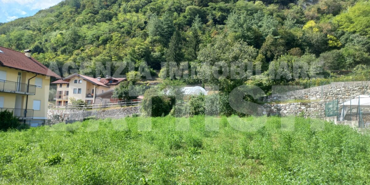 TERRENO EDIFICABILE IN OTTIMA POSIZIONE