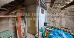 PORZIONE CON DUE APPARTAMENTI