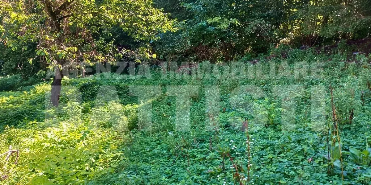 PORZIONE DI MASO CON TERRENO