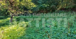 PORZIONE DI MASO CON TERRENO