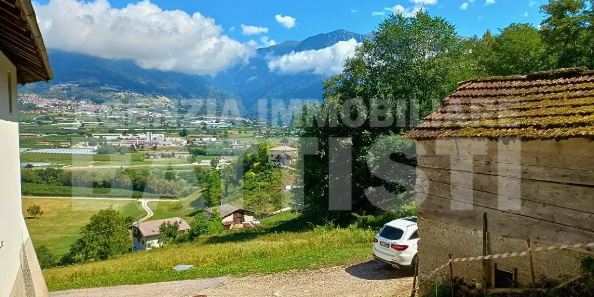 AMPIO MASO CON TERRENO
