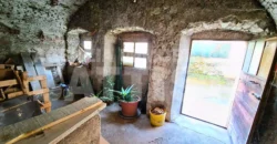 PORZIONE CON CORTILE E ORTO