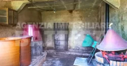 AMPIO MASO CON TERRENO