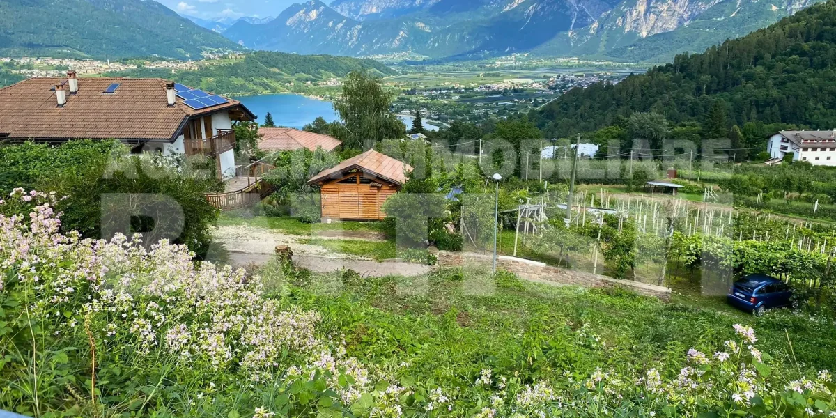 TERRENO EDIFICABILE BOSENTINO