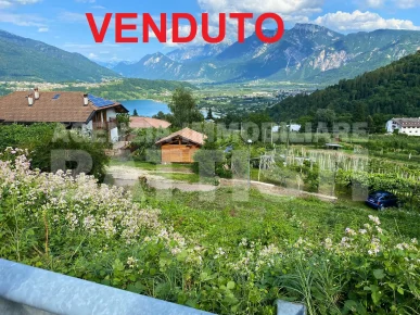 TERRENO EDIFICABILE BOSENTINO