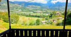 PORZIONE DI MASO CON TERRENO