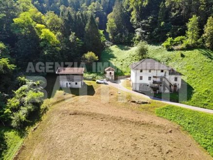 PORZIONE DI MASO CON TERRENO