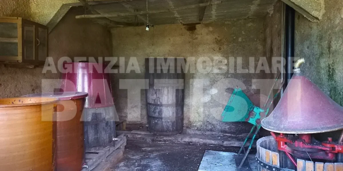 PORZIONE DI MASO CON TERRENO