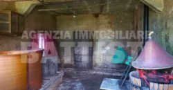 AMPIO MASO CON TERRENO