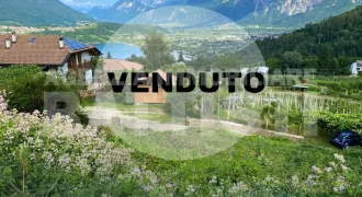 TERRENO EDIFICABILE BOSENTINO