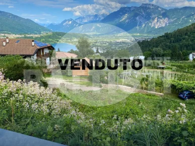 TERRENO EDIFICABILE BOSENTINO