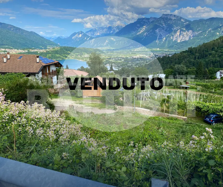 TERRENO EDIFICABILE BOSENTINO