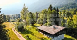 VILLA/CHALET DI MONTAGNA