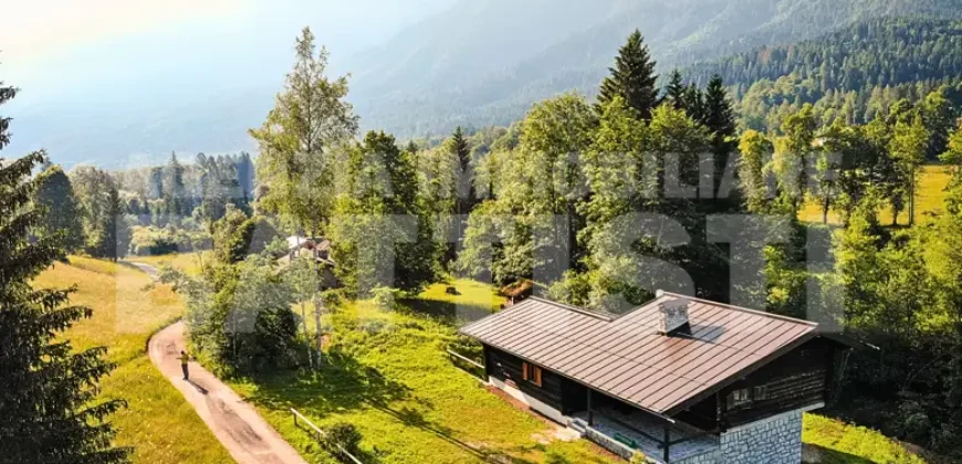 VILLA/CHALET DI MONTAGNA