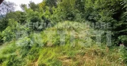 PORZIONE DI CASA con terreno di mq 700