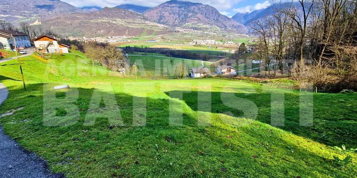 AMPIO MASO CON TERRENO