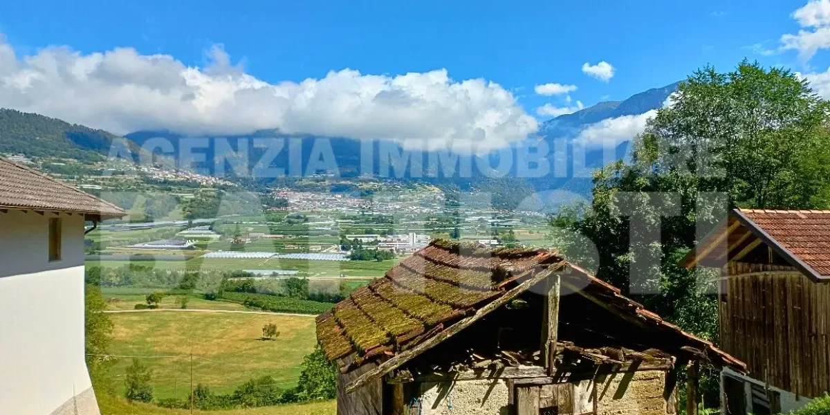 PORZIONE DI MASO CON TERRENO