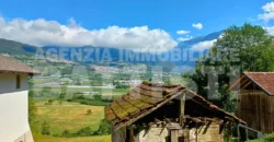 PORZIONE DI MASO CON TERRENO