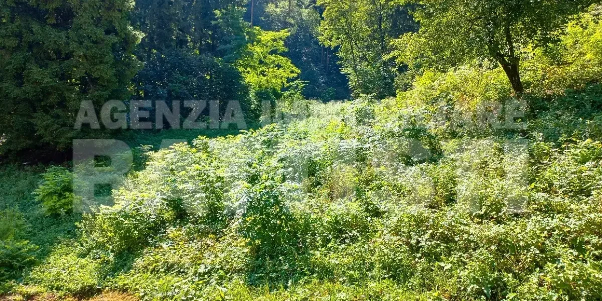 PORZIONE DI MASO CON TERRENO