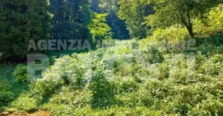 PORZIONE DI MASO CON TERRENO