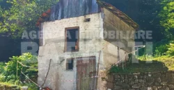 AMPIO MASO CON TERRENO