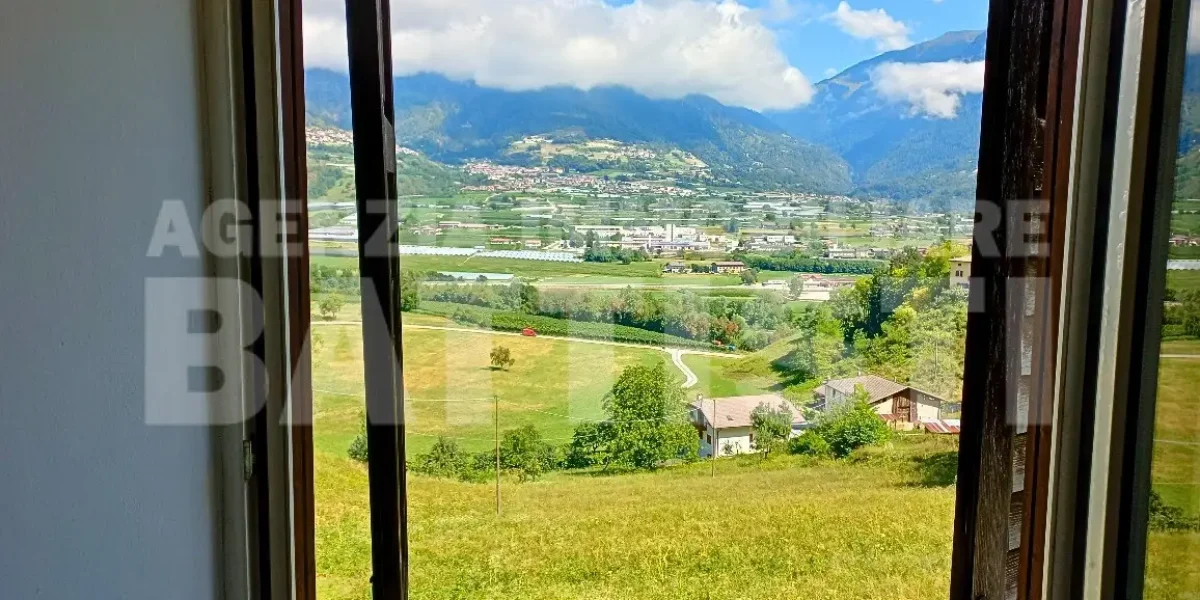 PORZIONE DI MASO CON TERRENO