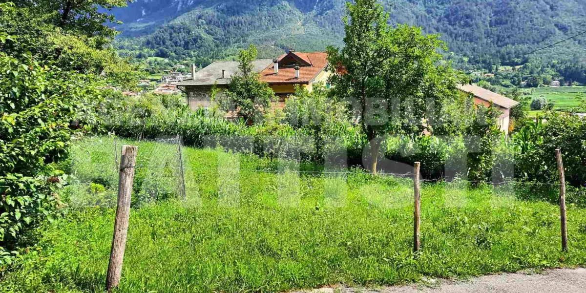 DUE LOTTI IN POSIZIONE PANORAMICA