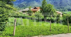 DUE LOTTI IN POSIZIONE PANORAMICA