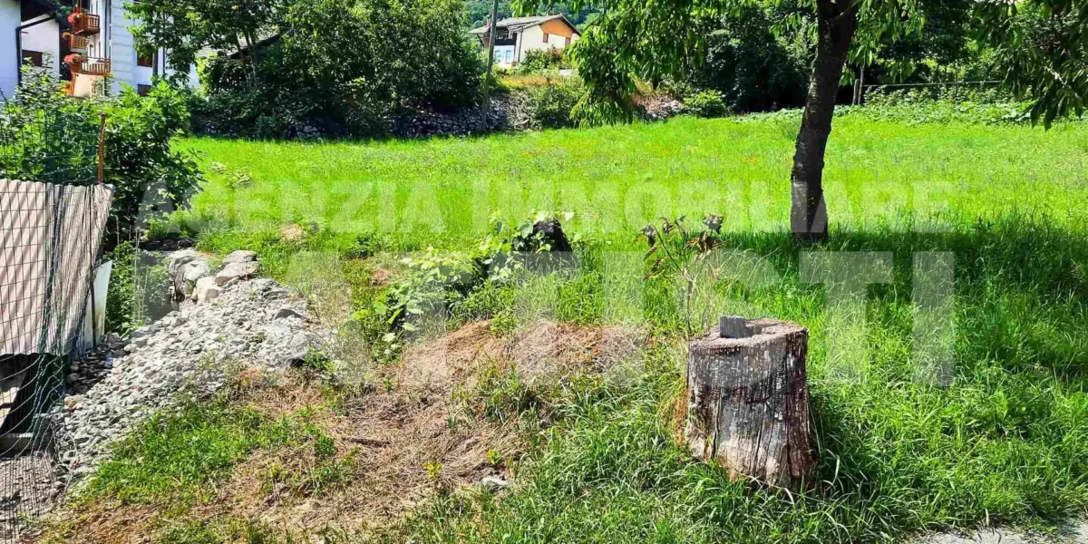 DUE LOTTI IN POSIZIONE PANORAMICA