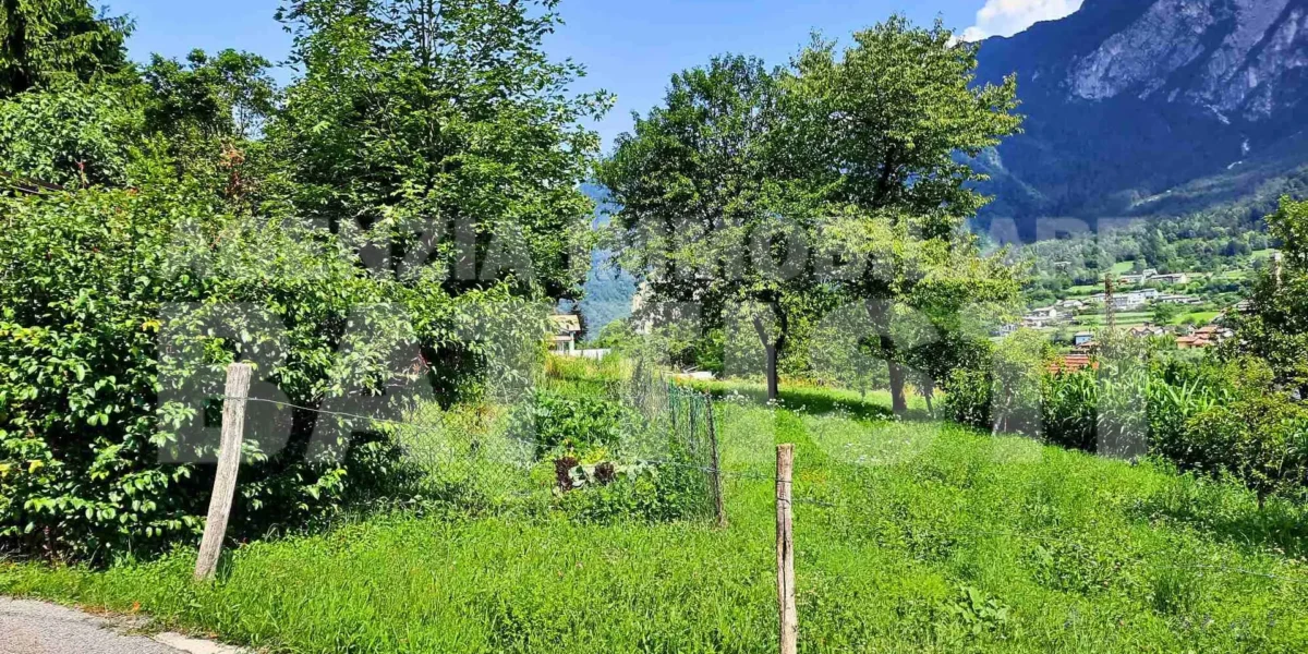 DUE LOTTI IN POSIZIONE PANORAMICA
