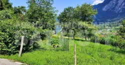 DUE LOTTI IN POSIZIONE PANORAMICA