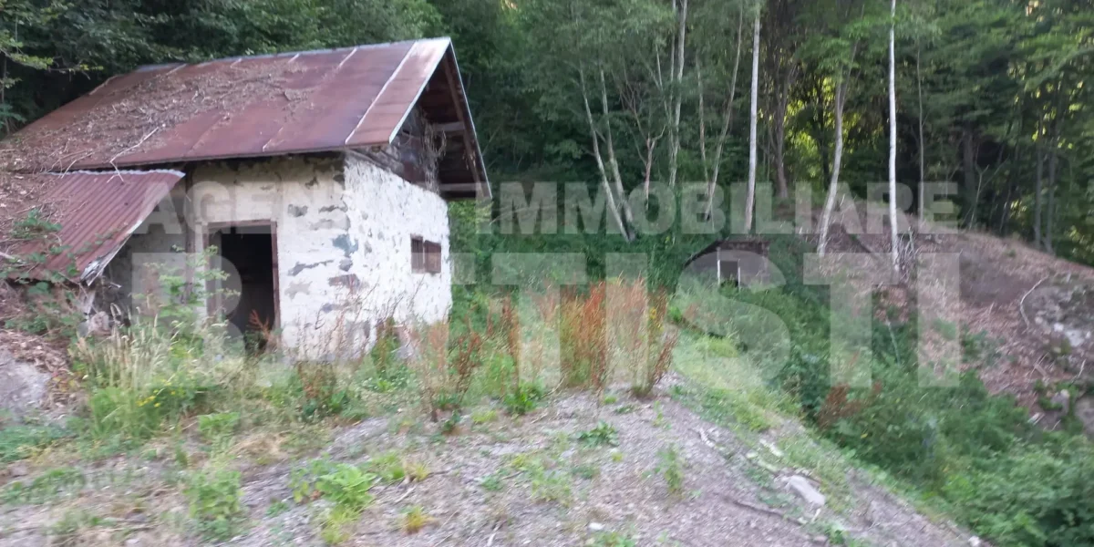 2 RUSTICI CON TERRENO AI PIEDI DEL LAGORAI 900m slm.