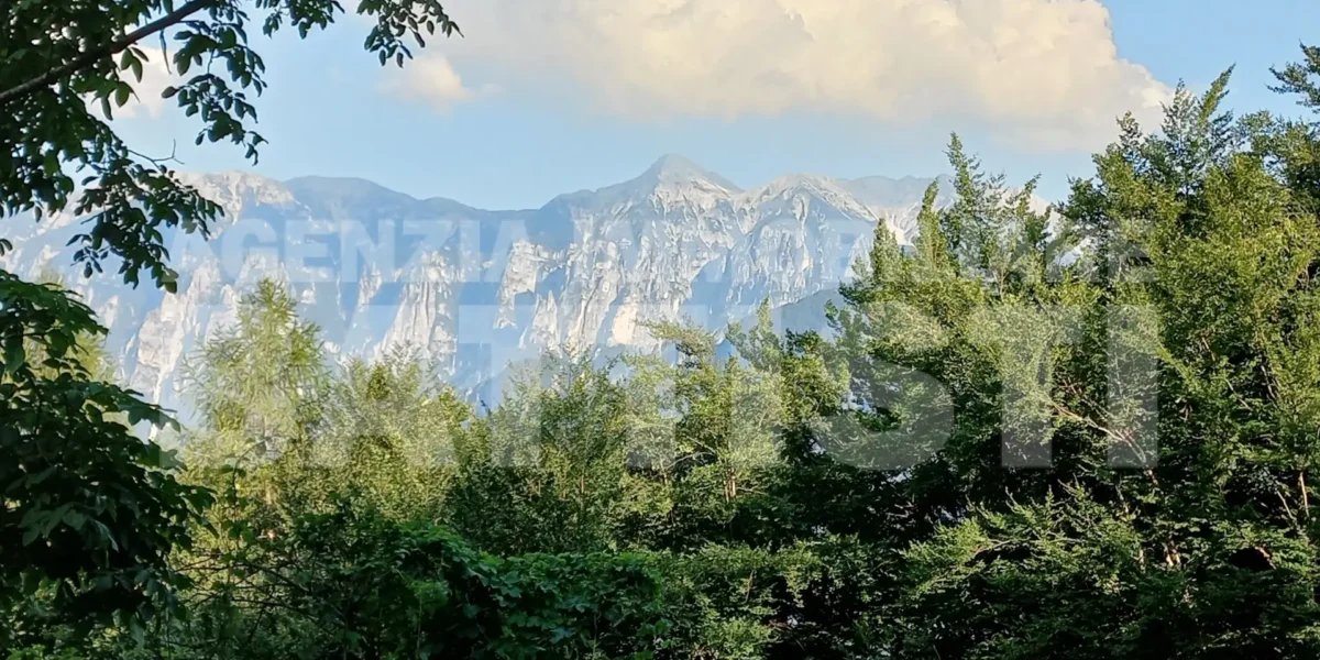 2 RUSTICI CON TERRENO AI PIEDI DEL LAGORAI 900m slm.