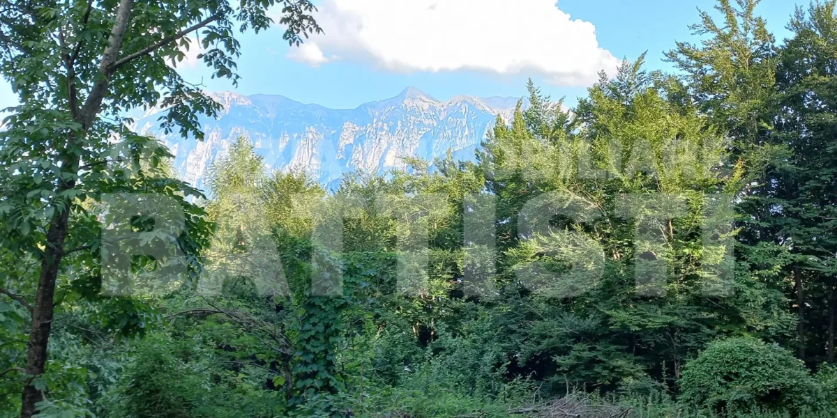 2 RUSTICI CON TERRENO AI PIEDI DEL LAGORAI 900m slm.