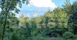 2 RUSTICI CON TERRENO AI PIEDI DEL LAGORAI 900m slm.