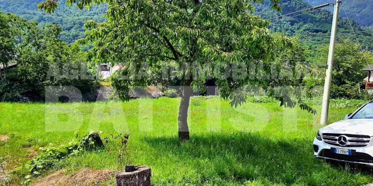DUE LOTTI IN POSIZIONE PANORAMICA
