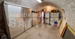 PORZIONE DI TESTA