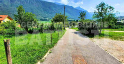 DUE LOTTI IN POSIZIONE PANORAMICA