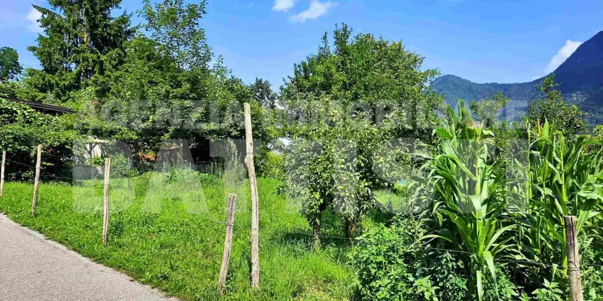 DUE LOTTI IN POSIZIONE PANORAMICA