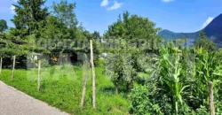 DUE LOTTI IN POSIZIONE PANORAMICA