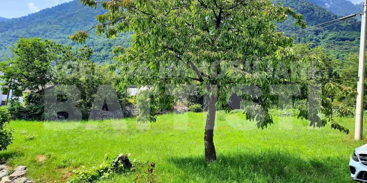 DUE LOTTI IN POSIZIONE PANORAMICA