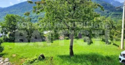 DUE LOTTI IN POSIZIONE PANORAMICA