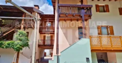 PORZIONE DI TESTA