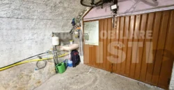PORZIONE DI TESTA