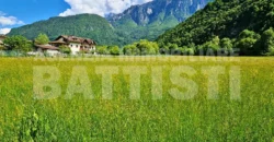 CASA DI CAMPAGNA A BORGO VALSUGANA