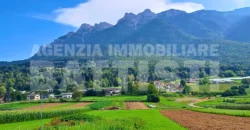 APPARTAMENTO CON GIARDINO E TERRAZZO