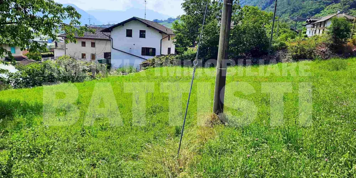DUE LOTTI IN POSIZIONE PANORAMICA